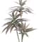 20&#x22; Potted Dracaena Plant by Ashland&#xAE;